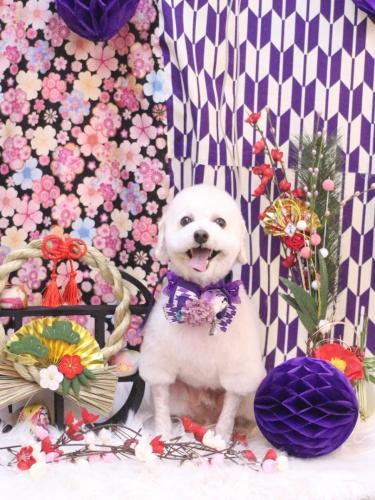 20250126ふぁるくん